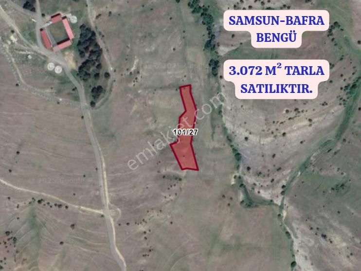 Samsun Bafra Bengü Köyünde 3.072 M² Tarla Satılıktır - Görsel 2