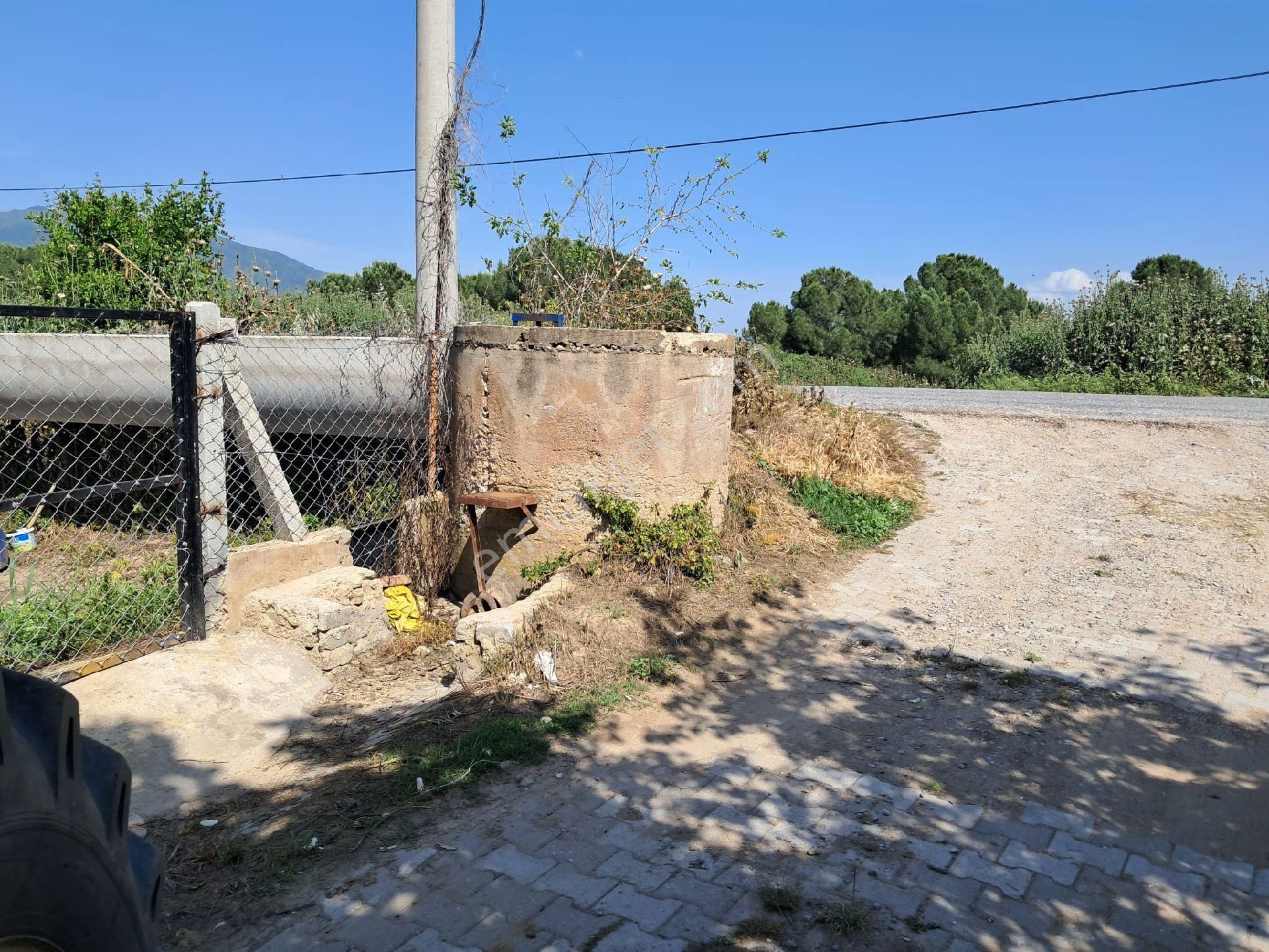 Nazilli/ Arslanlıda Satılık Bahçe - Görsel 3