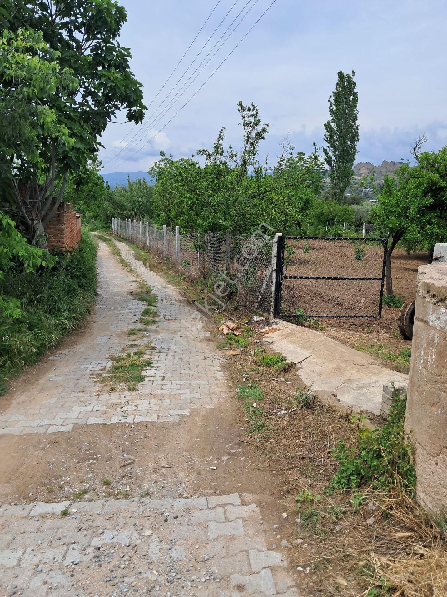 Nazilli/ Arslanlıda Satılık Bahçe - Görsel 8