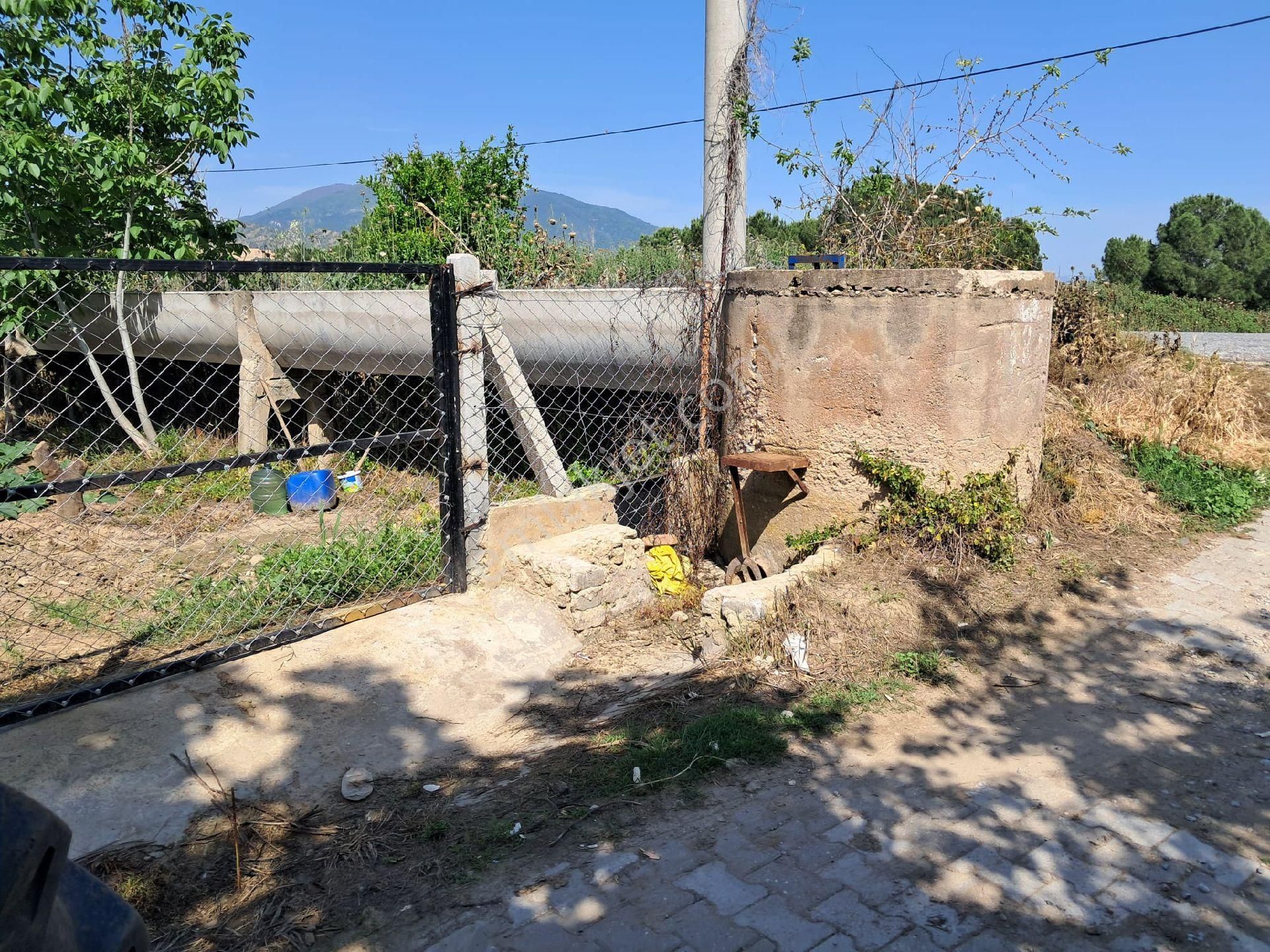 Nazilli/ Arslanlıda Satılık Bahçe