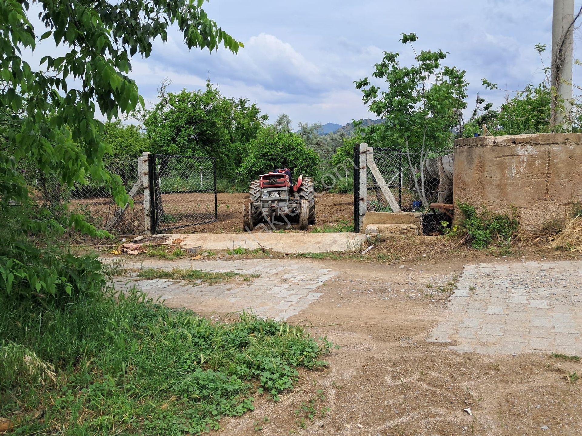 Nazilli/ Arslanlıda Satılık Bahçe - Görsel 10