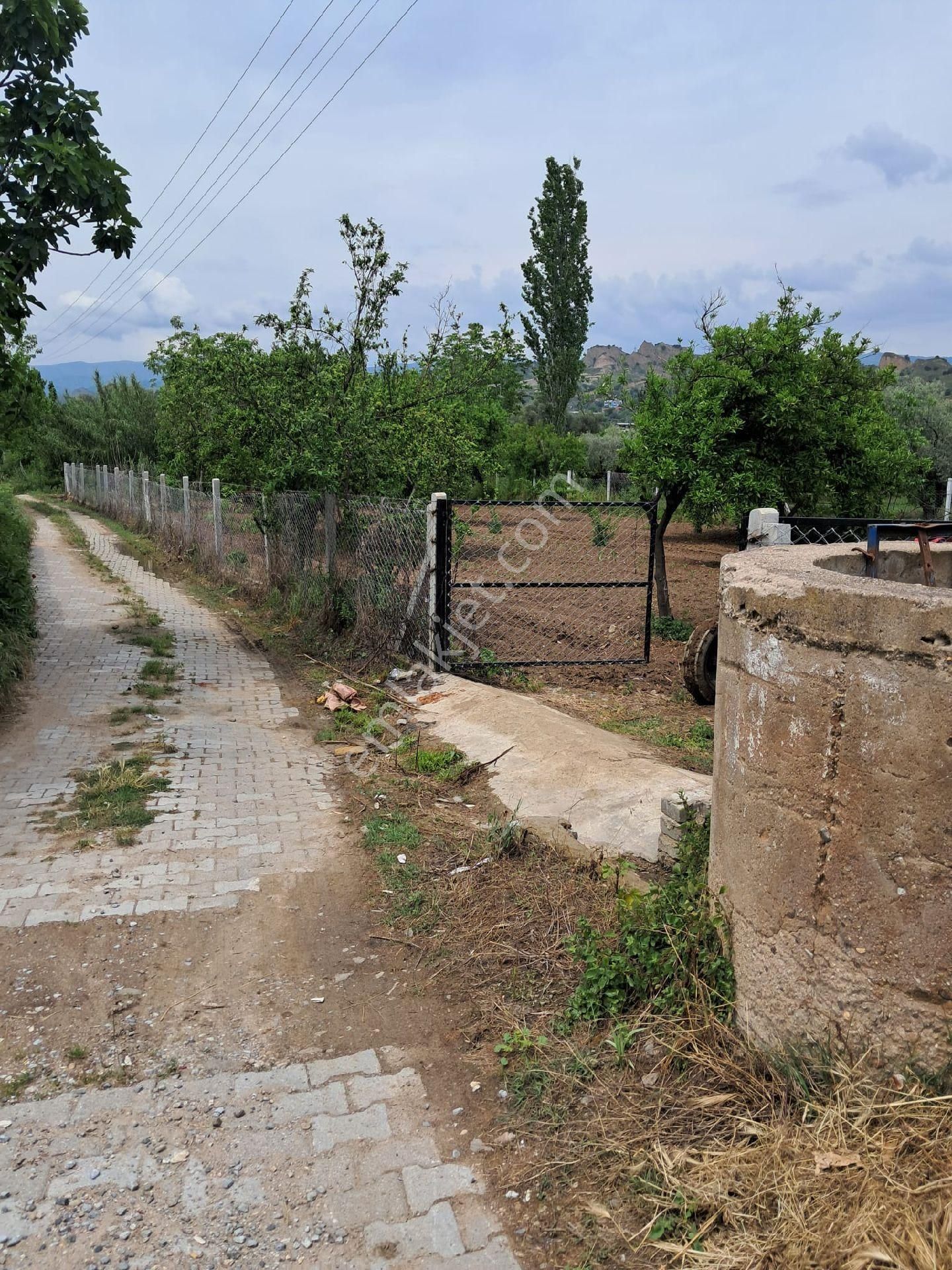 Nazilli/ Arslanlıda Satılık Bahçe - Görsel 12