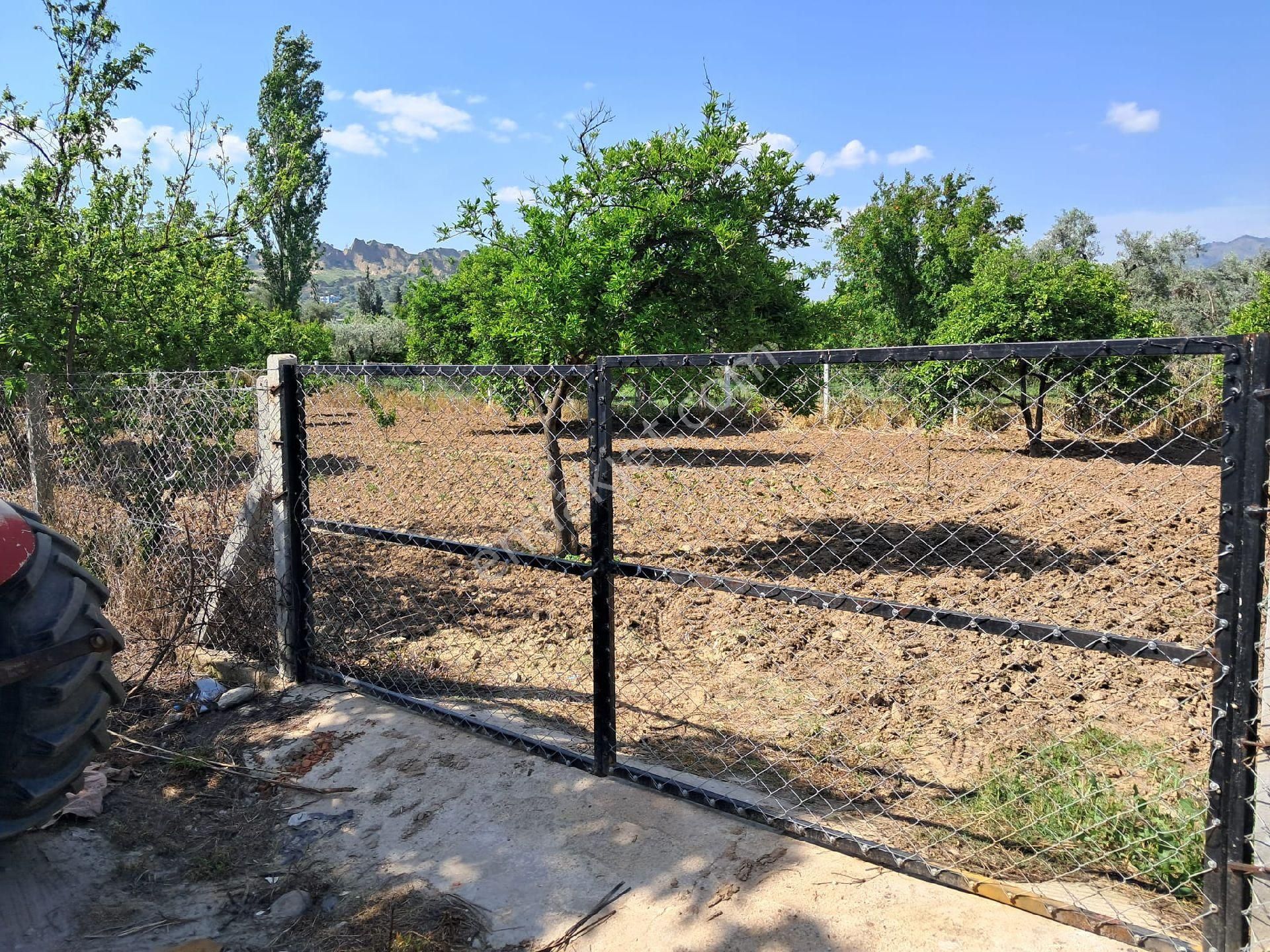 Nazilli/ Arslanlıda Satılık Bahçe - Görsel 2