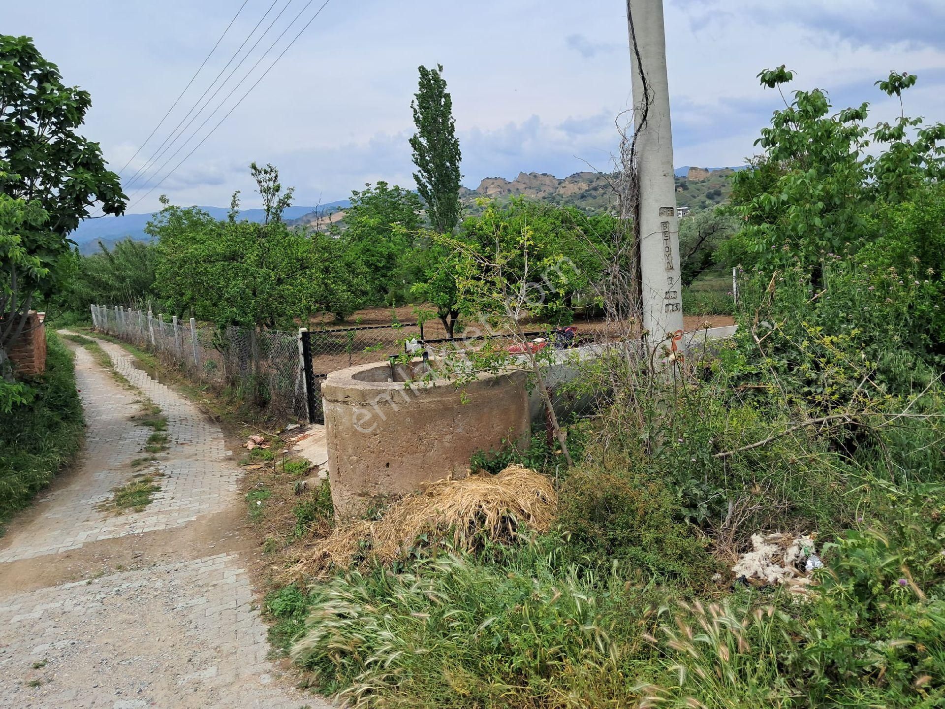 Nazilli/ Arslanlıda Satılık Bahçe - Görsel 5