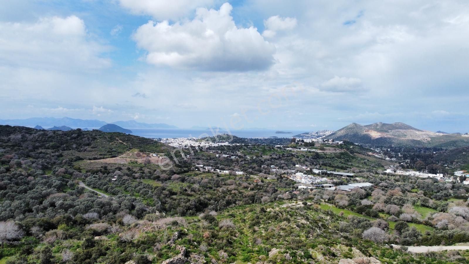 Turgutreiste Full Deniz Manzaralı Tek Tapu 5000m2 Tarla - Görsel 3