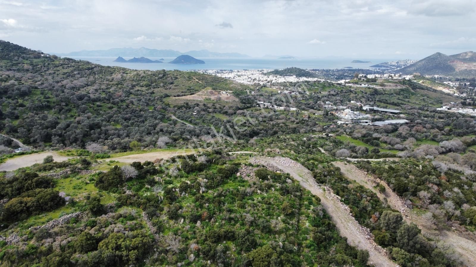 Turgutreiste Full Deniz Manzaralı Tek Tapu 5000m2 Tarla - Görsel 6