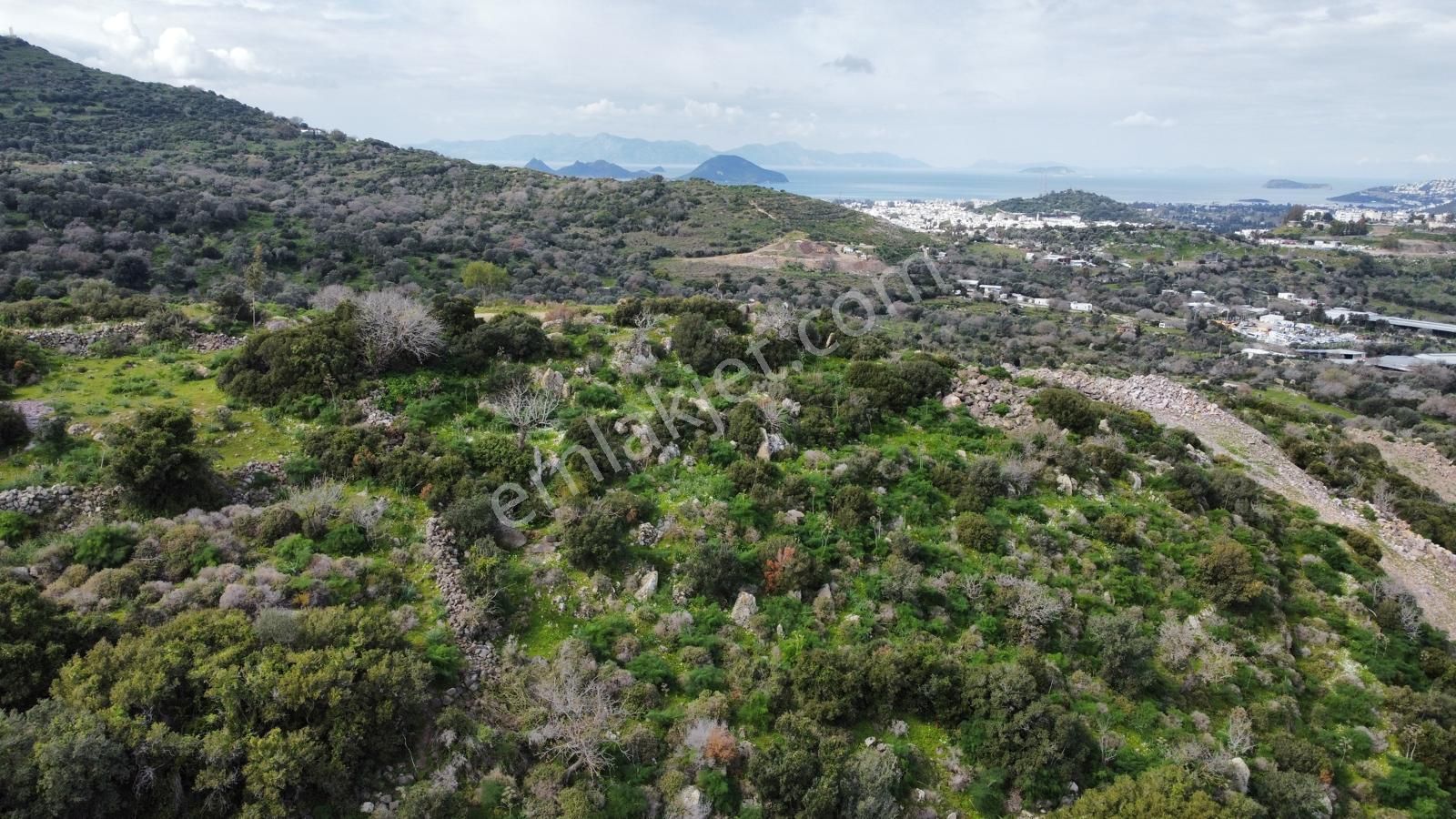 Turgutreiste Full Deniz Manzaralı Tek Tapu 5000m2 Tarla - Görsel 5
