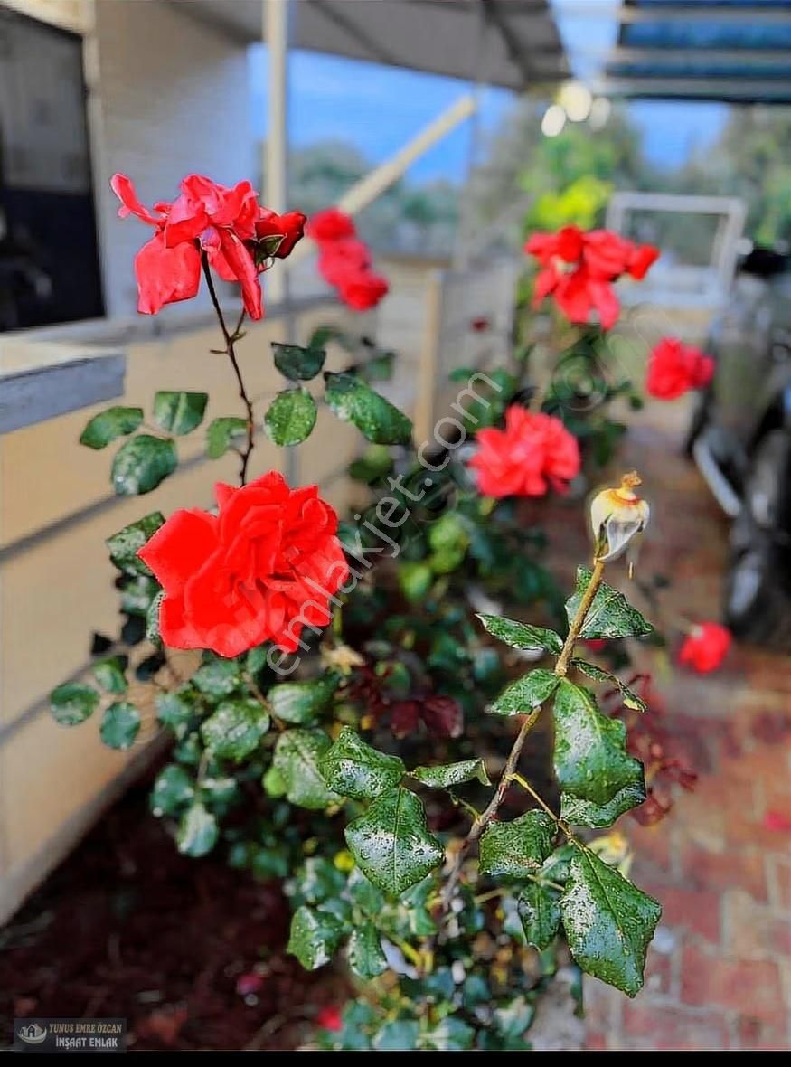 Yunus Emre Özcan İnşaat Emlâk - Görsel 6