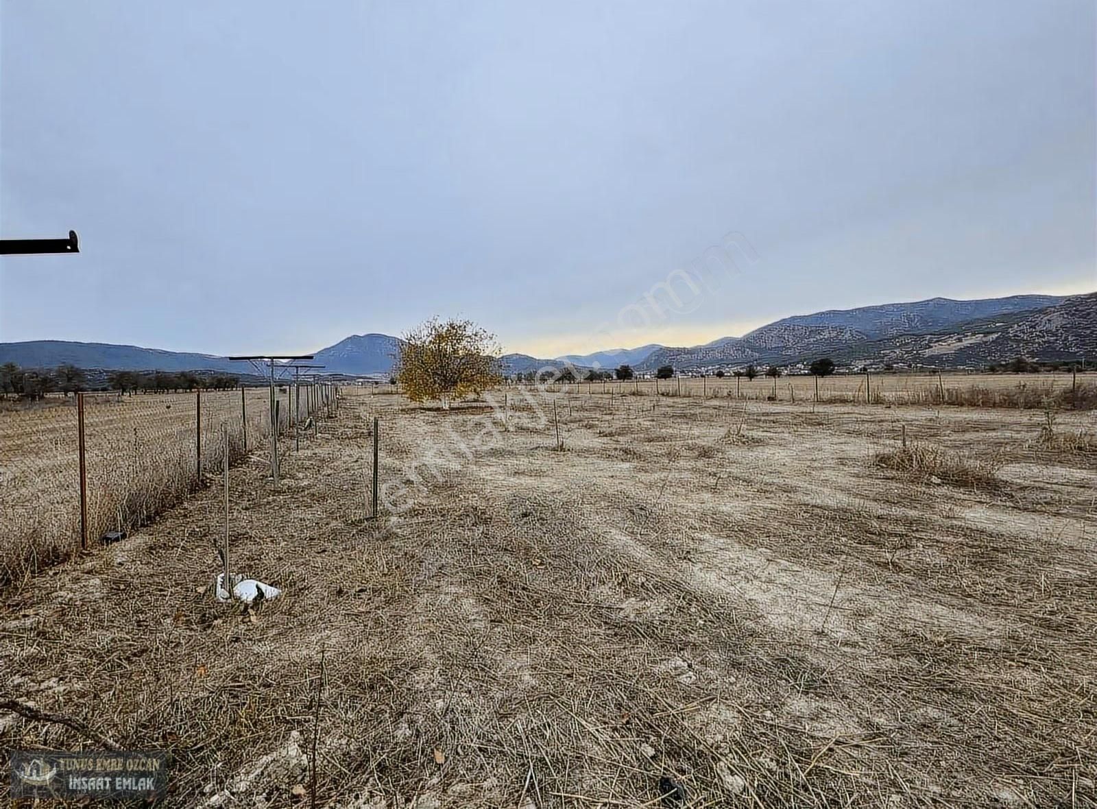 Yunus Emre Özcan İnşaat Emlâk - Görsel 29