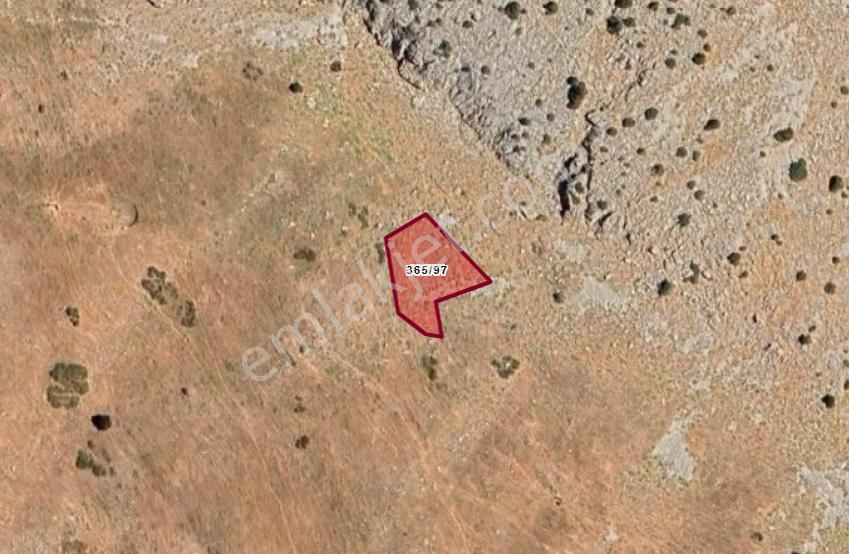 Antalya Gündoğmuş Ortaköy, Merkez Köyünde 971 M² Tarla Satılıktır