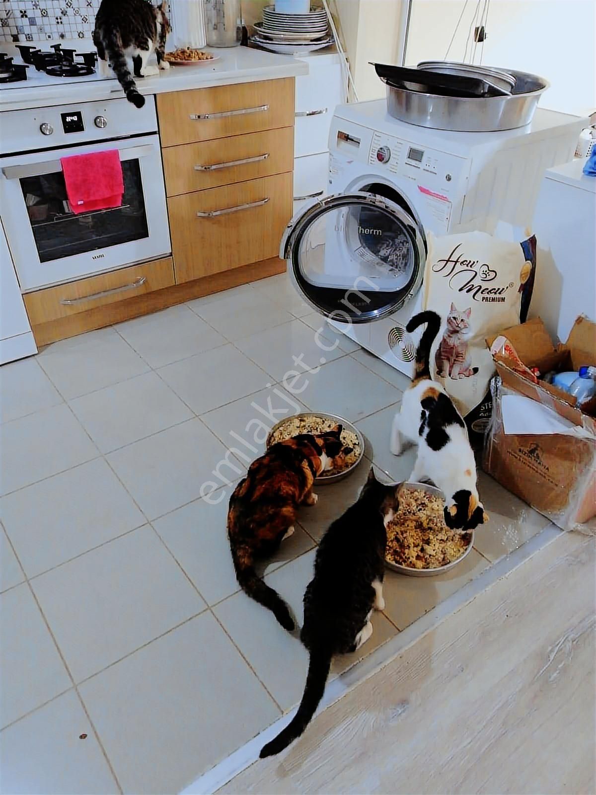 Rw Akar'dan Sığacık'ta Çok Acil Satılık Müstakil Konut - Görsel 28