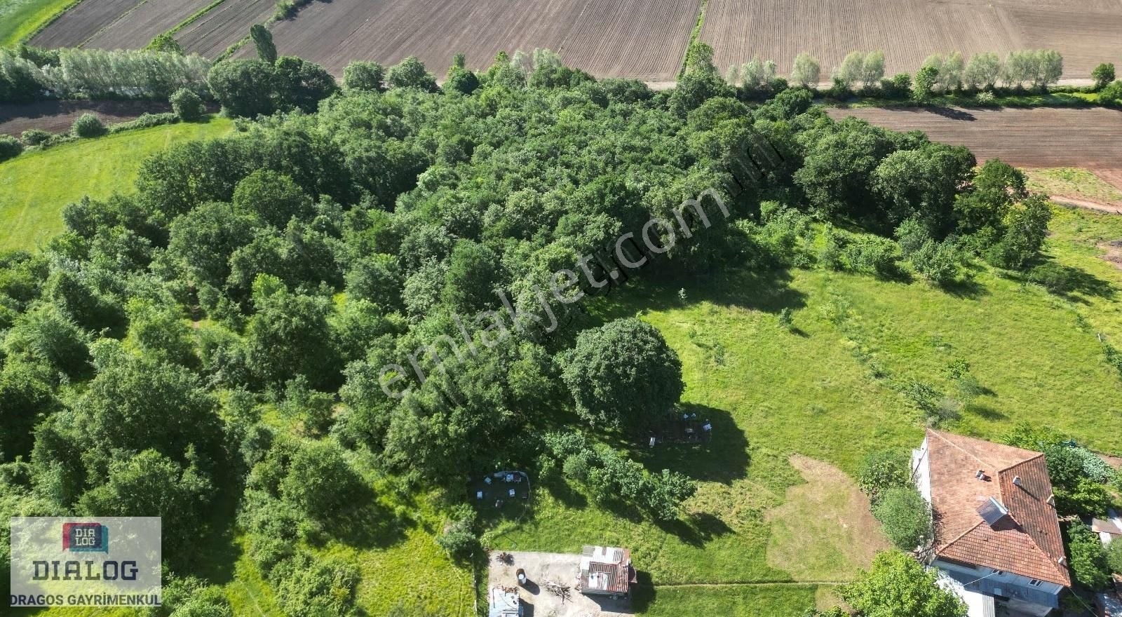Adapazarı Göktepe'de İmar Sınırında Satılık Meşelik & Arazi