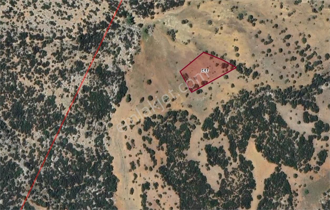 Tavas Yukarıbogaz Da Meraya Cepheli 2250 M2 Satılık Arazi - Görsel 2