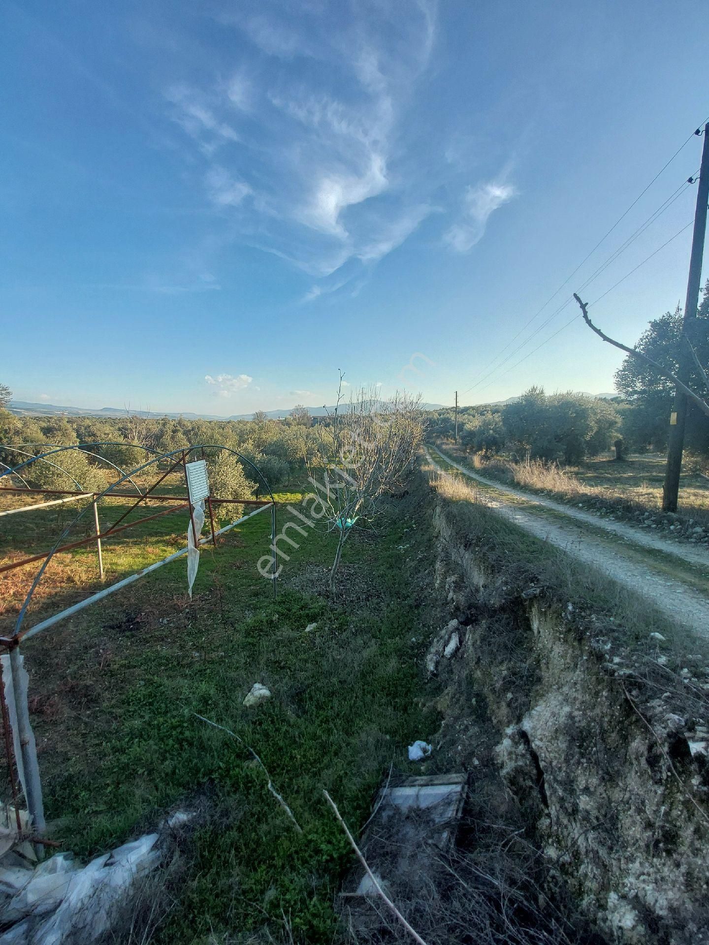 Doğru Gayrımenkulden Bozdoğan Pınarlı Da İçinde 1+1 Evi Olan 3 Dönüm Zeytinlik, Hobi Bahçesi - Görsel 10