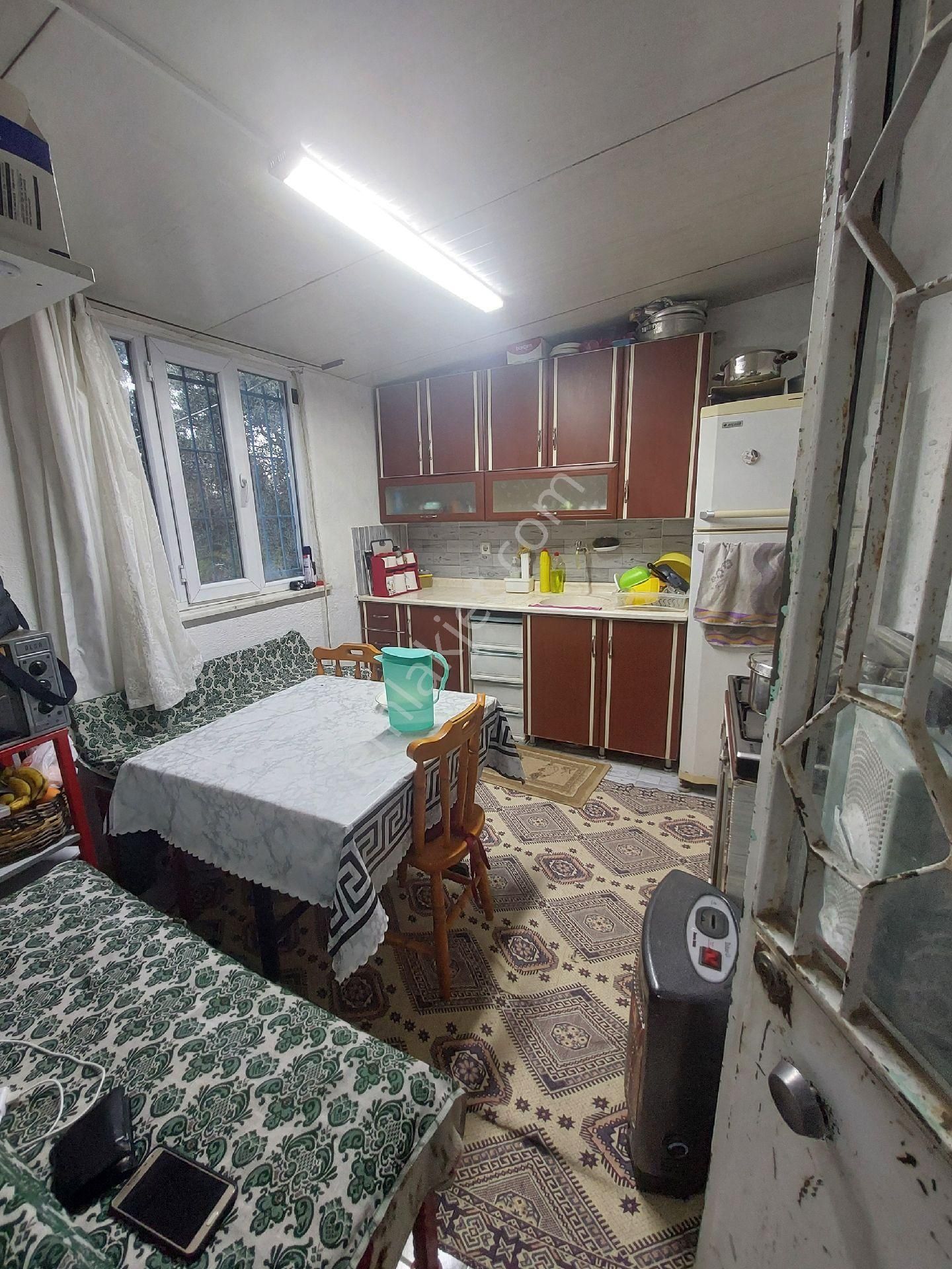 Doğru Gayrımenkulden Bozdoğan Pınarlı Da İçinde 1+1 Evi Olan 3 Dönüm Zeytinlik, Hobi Bahçesi