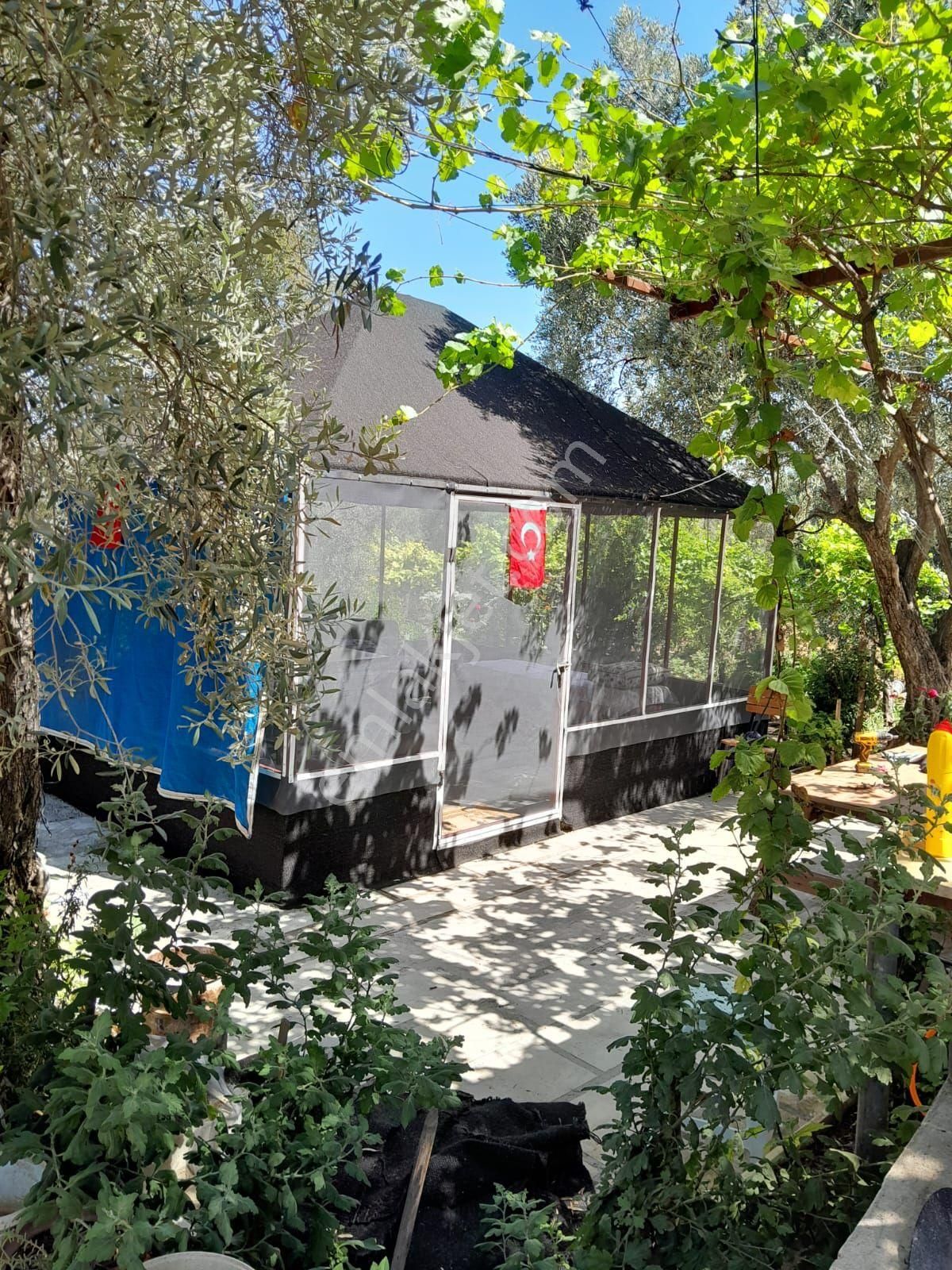 Doğru Gayrımenkulden Bozdoğan Pınarlı Da İçinde 1+1 Evi Olan 3 Dönüm Zeytinlik, Hobi Bahçesi - Görsel 3