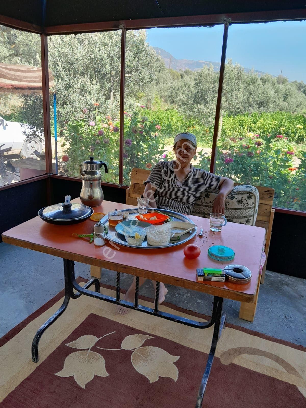 Doğru Gayrımenkulden Bozdoğan Pınarlı Da İçinde 1+1 Evi Olan 3 Dönüm Zeytinlik, Hobi Bahçesi - Görsel 29