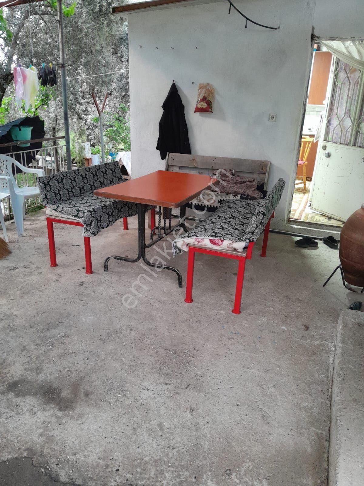 Doğru Gayrımenkulden Bozdoğan Pınarlı Da İçinde 1+1 Evi Olan 3 Dönüm Zeytinlik, Hobi Bahçesi - Görsel 2