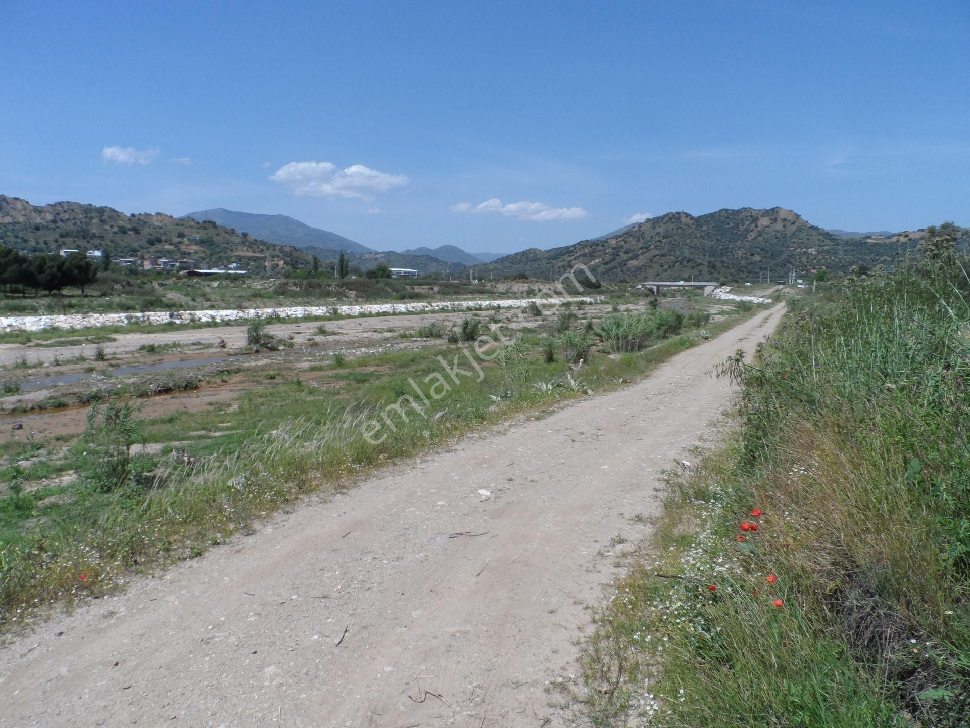 Nazilli Ege Emlak Ofisinden Arslanlı Mah. Satılık Tarla - Görsel 5