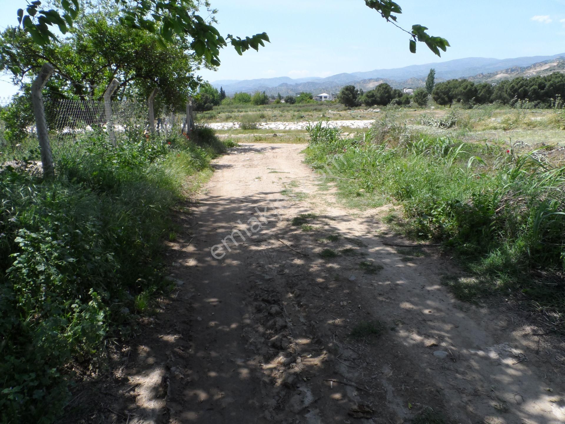 Nazilli Ege Emlak Ofisinden Arslanlı Mah. Satılık Tarla - Görsel 7