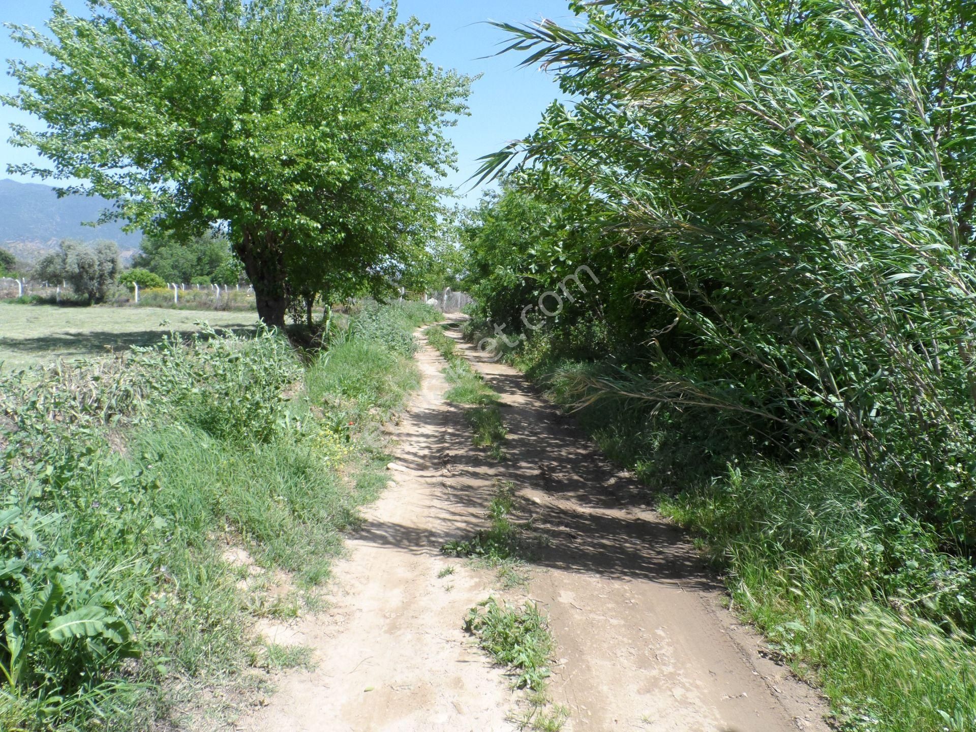 Nazilli Ege Emlak Ofisinden Arslanlı Mah. Satılık Tarla - Görsel 6