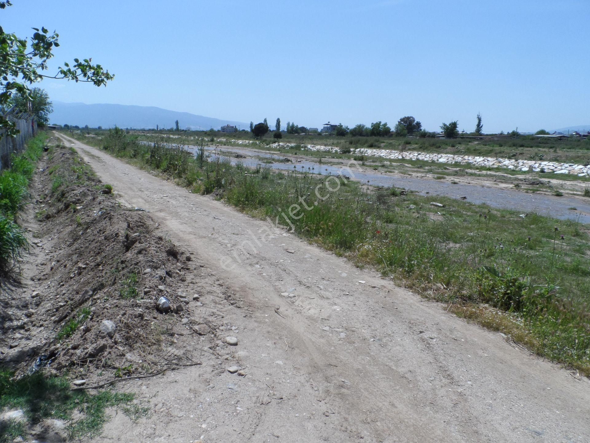 Nazilli Ege Emlak Ofisinden Arslanlı Mah. Satılık Tarla - Görsel 4
