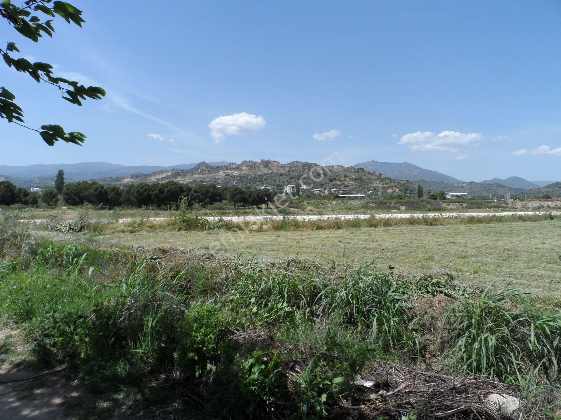 Nazilli Ege Emlak Ofisinden Arslanlı Mah. Satılık Tarla - Görsel 11