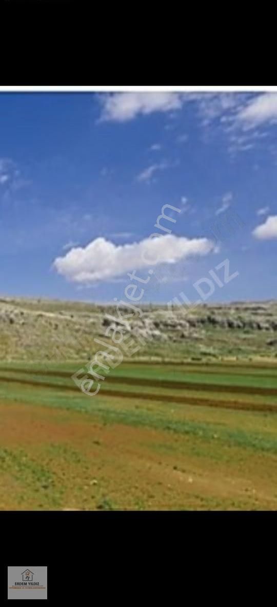 Erdem Yıldız'dan Mersin Mut Çömelek'te 8.014,22 M² Tarla - Görsel 2