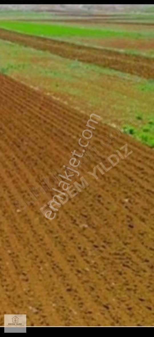 Erdem Yıldız'dan Mersin Mut Çömelek'te 8.014,22 M² Tarla