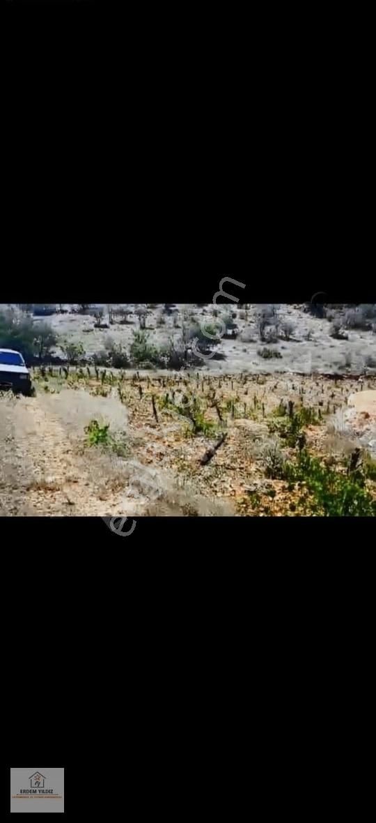 Erdem Yıldız'dan Hadim Göynükkışla'da 1.830,84 M² Satılık Bağ - Görsel 6