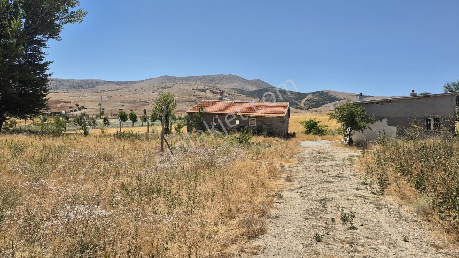 Konya Selçuklu Sızma Fevzi Çakmak Arklıdere Mevkinde Satılık Çiftlik.