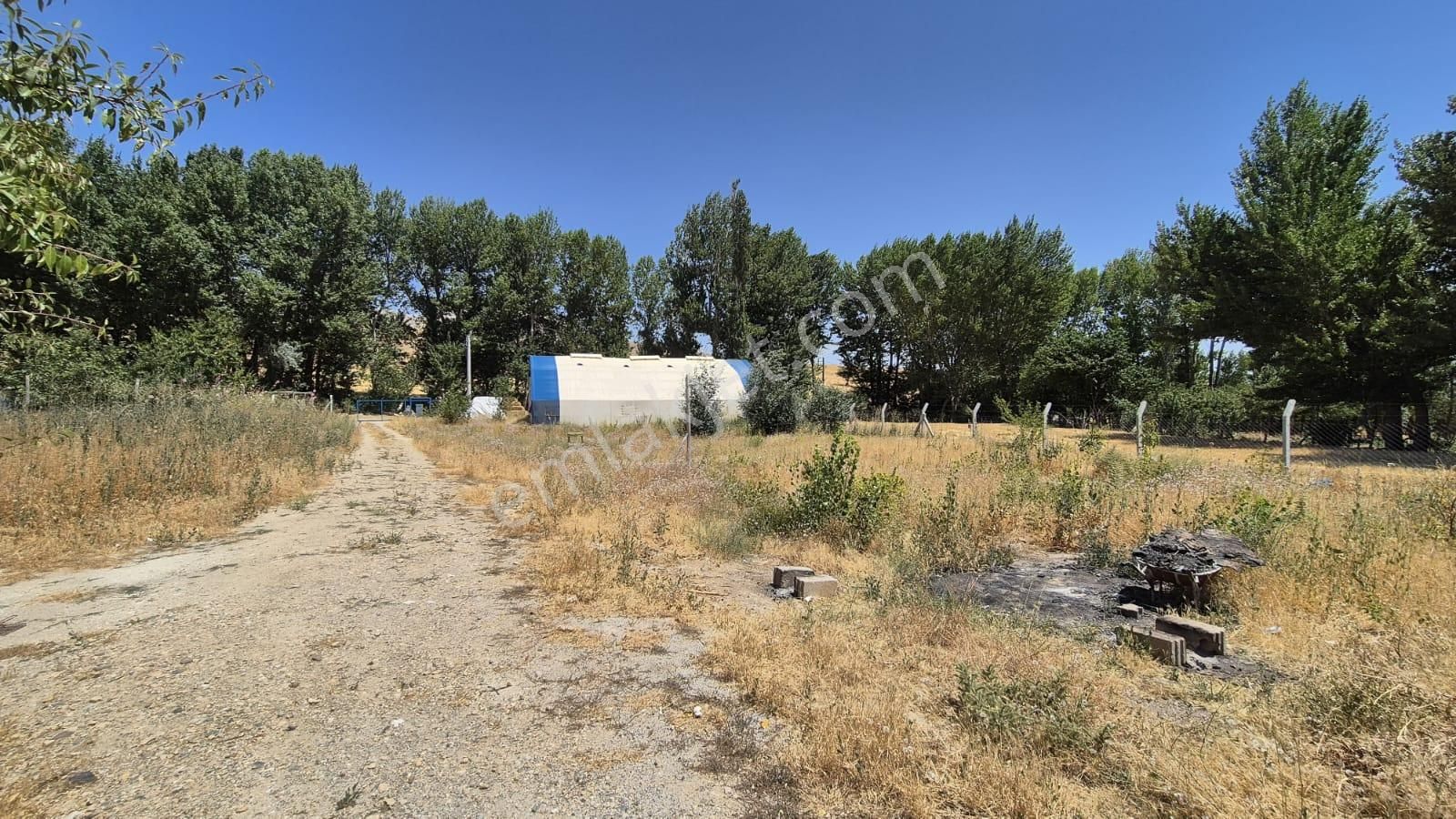 Konya Selçuklu Sızma Fevzi Çakmak Arklıdere Mevkinde Satılık Çiftlik. - Görsel 8