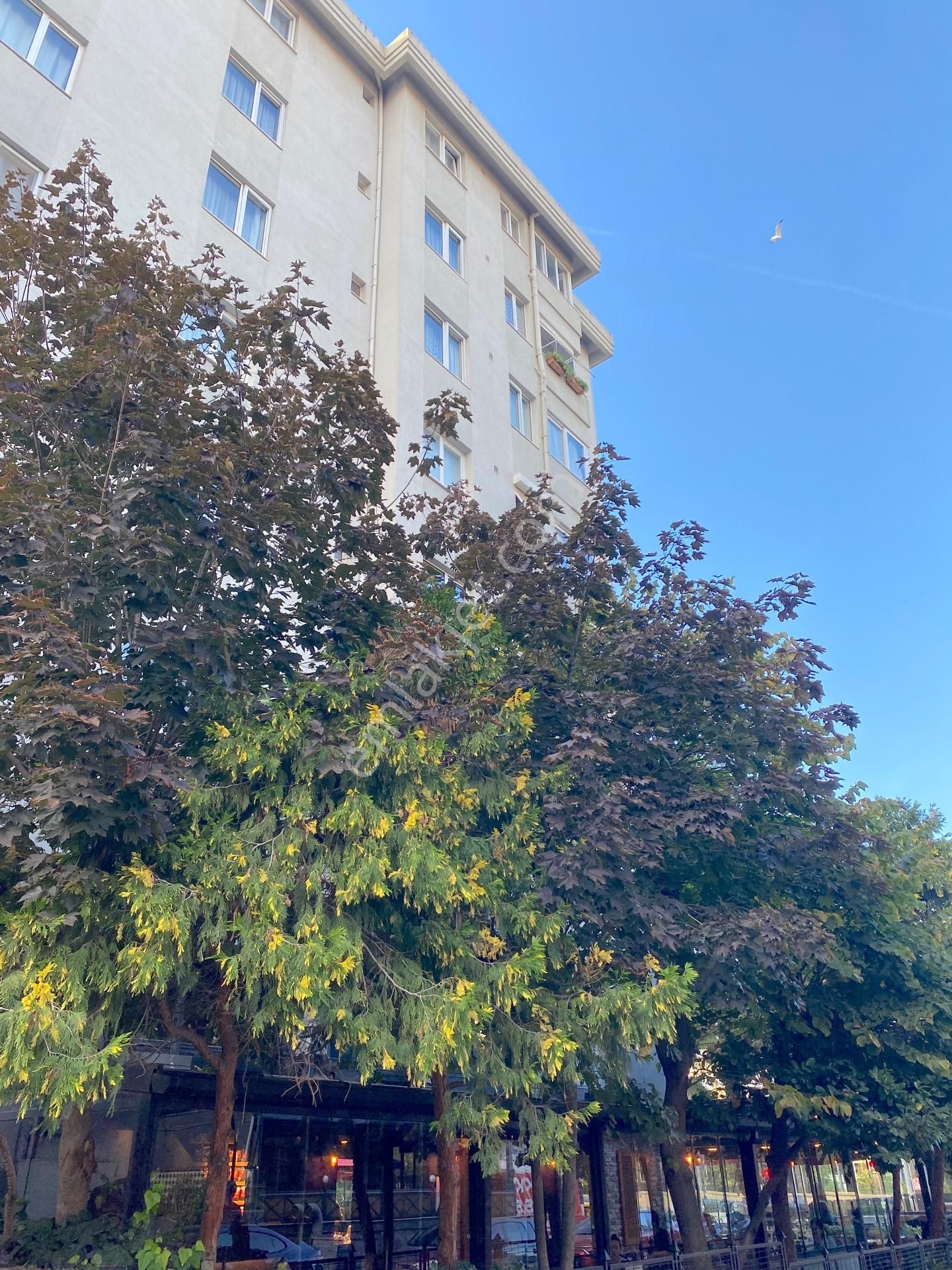 Yenilenmiş Cadde Üzeri, 4. Kat, Aydınlık 2+1 Ofis Hazır - Görsel 15