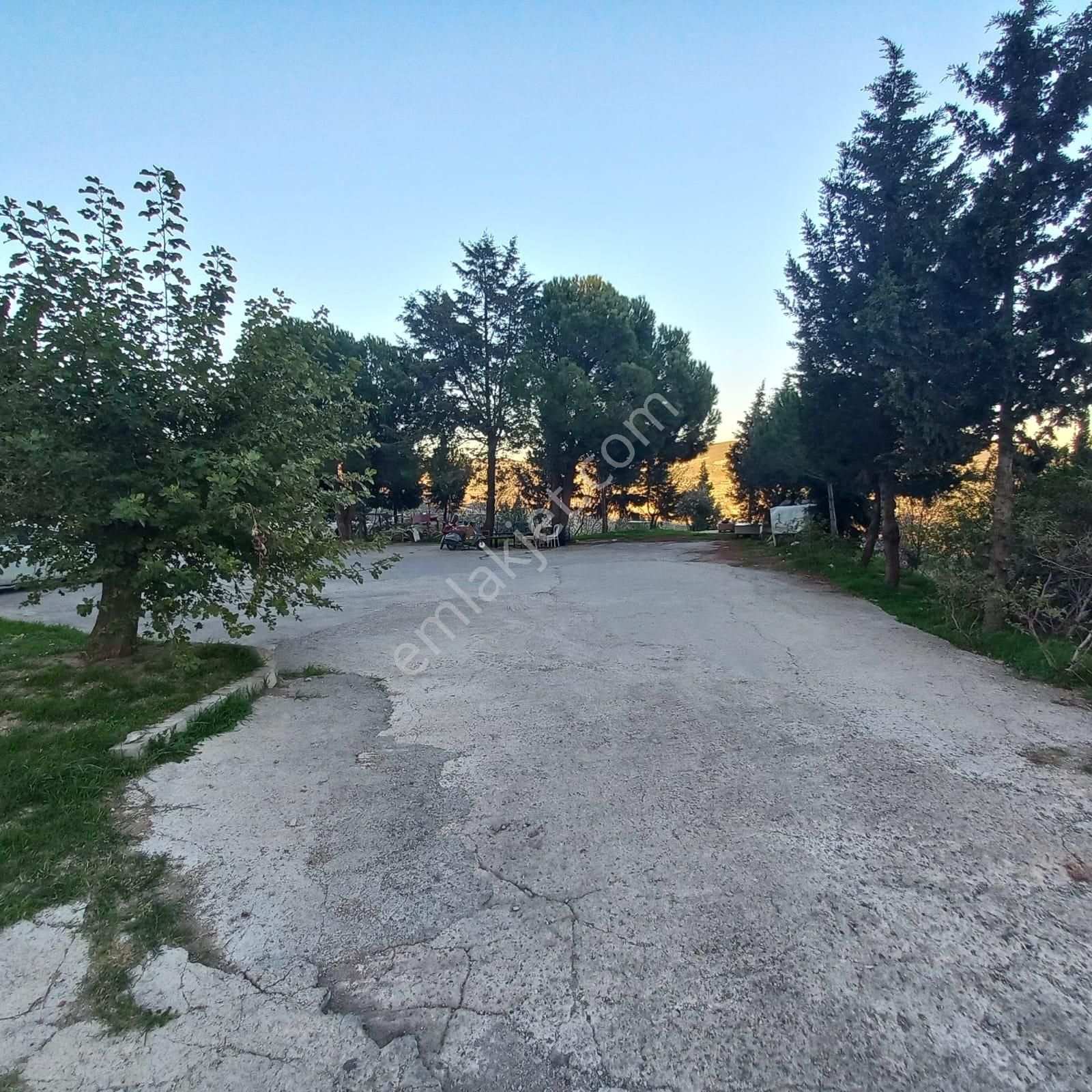 Bornova Evka 4 Mahallesinde Satılık 2+1 Kapalı Mutfak Daire - Görsel 21