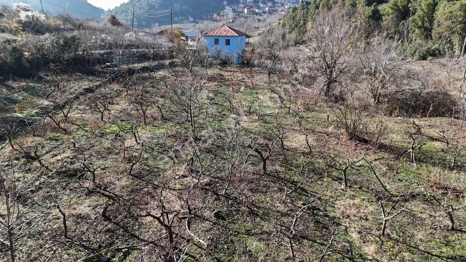 Mersin Toroslar Yüksekoluk Yaylasında Köyiçi İmarlı Satılık Arsa - Görsel 3