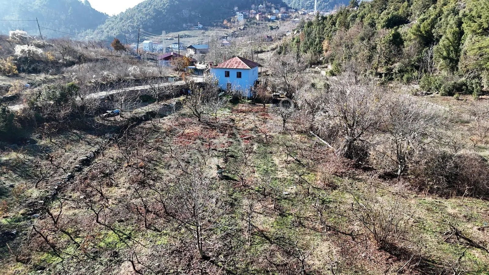 Mersin Toroslar Yüksekoluk Yaylasında Köyiçi İmarlı Satılık Arsa - Görsel 4