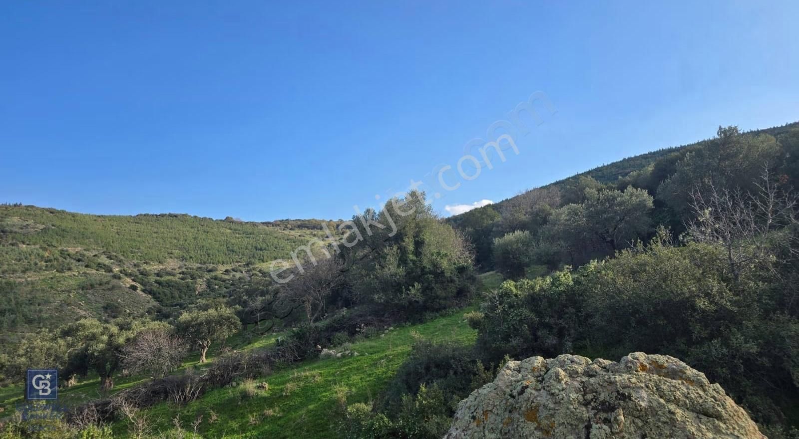 Bergama Sindel Mahallesinde Satılık Zeytinlik - Görsel 29