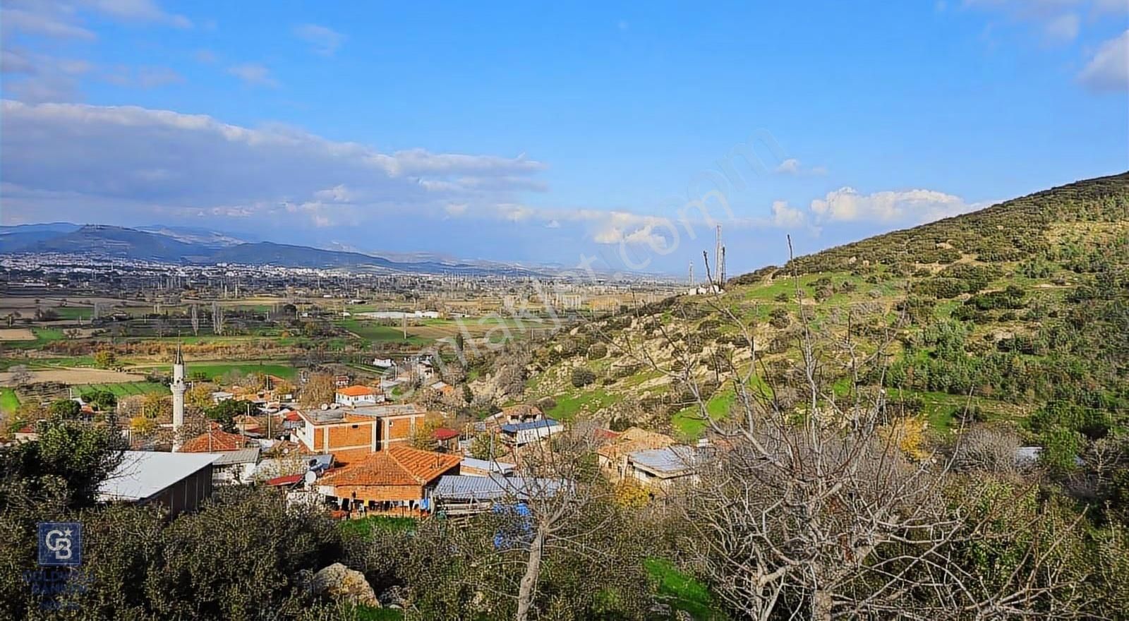 Bergama Sindel Mahallesinde Satılık Zeytinlik - Görsel 6