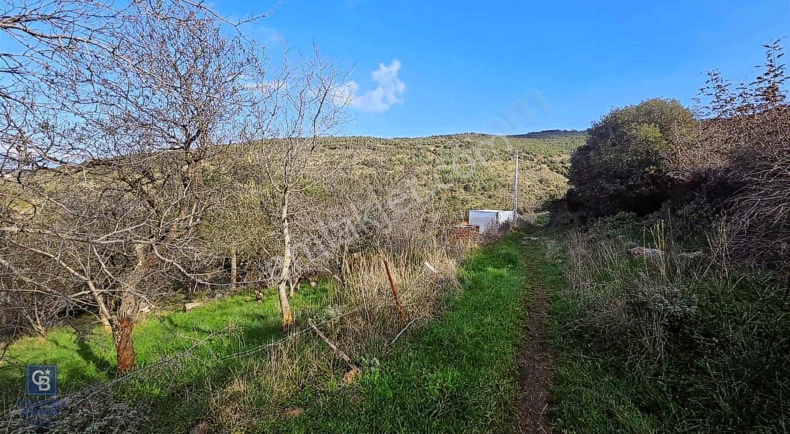Bergama Sindel Mahallesinde Satılık Zeytinlik - Görsel 28