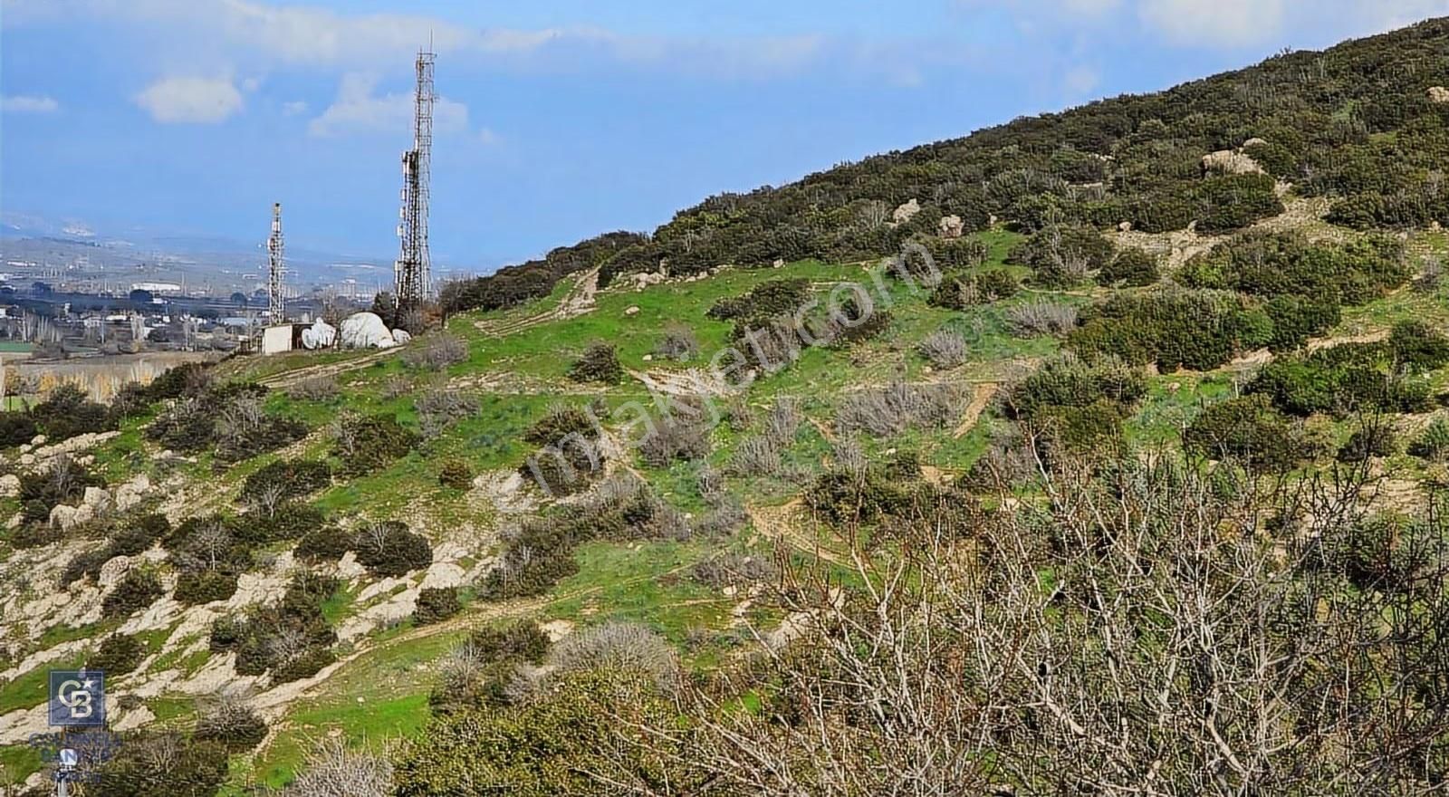 Bergama Sindel Mahallesinde Satılık Zeytinlik - Görsel 11
