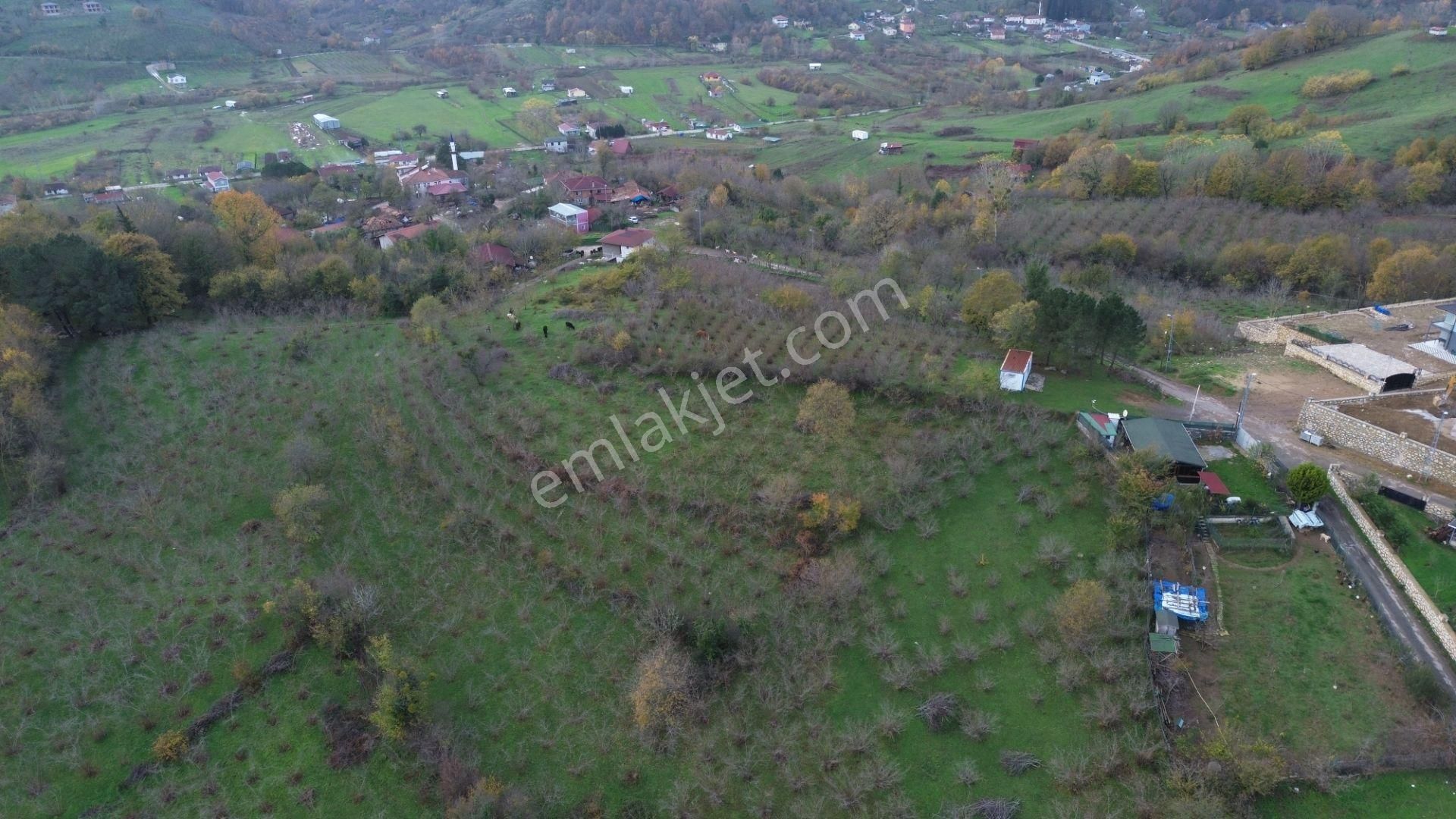 170m2 Geredeli Köyün'de Yola Cephe Kupon Arazi - Görsel 4