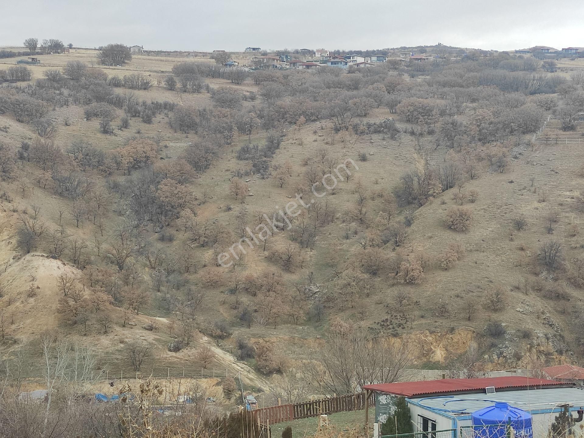 Karapürçekte 2220 M2 Kök Tapulu Arsa Hilal Emlaktan - Görsel 2