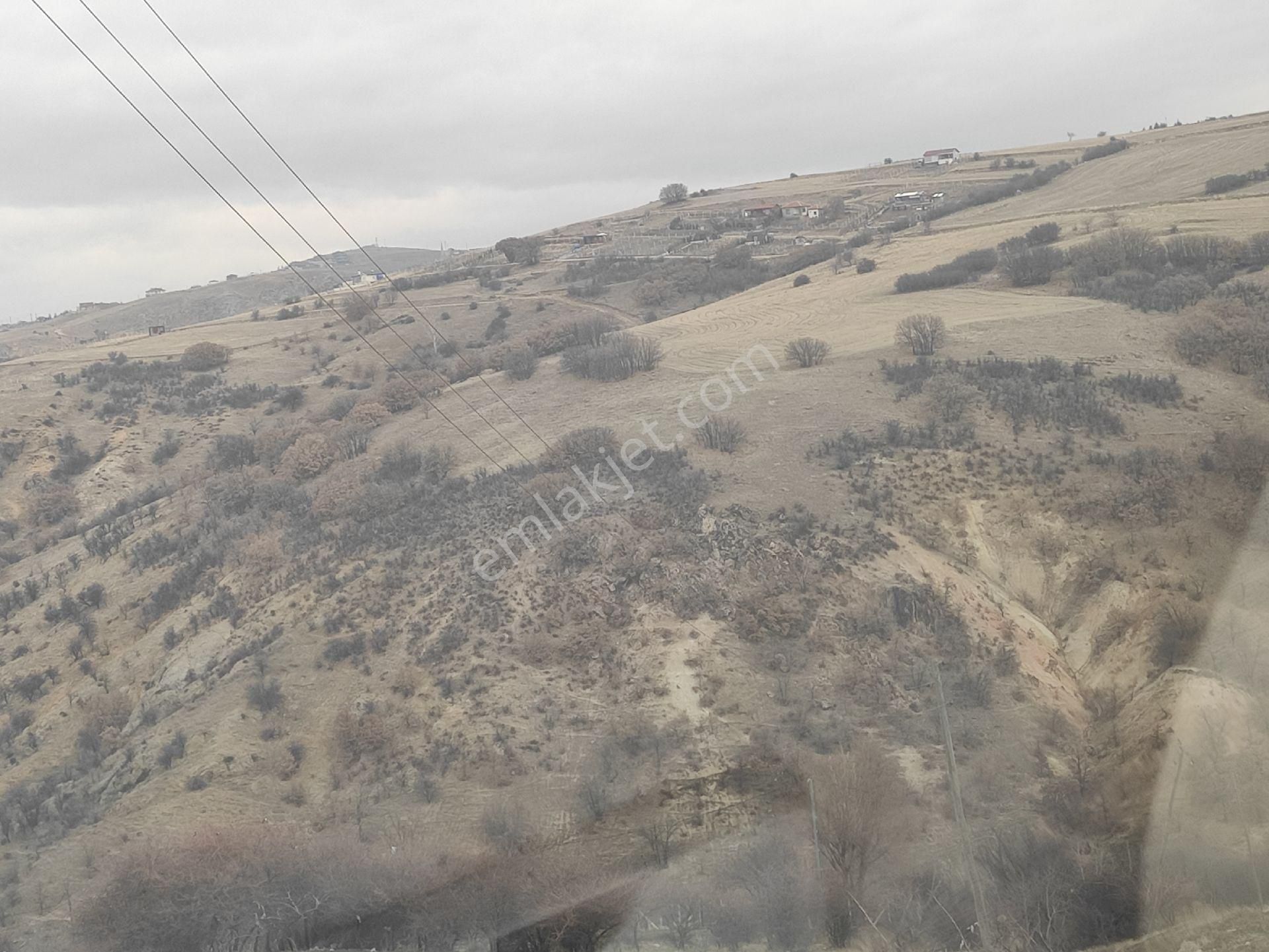 Karapürçekte 2220 M2 Kök Tapulu Arsa Hilal Emlaktan - Görsel 7
