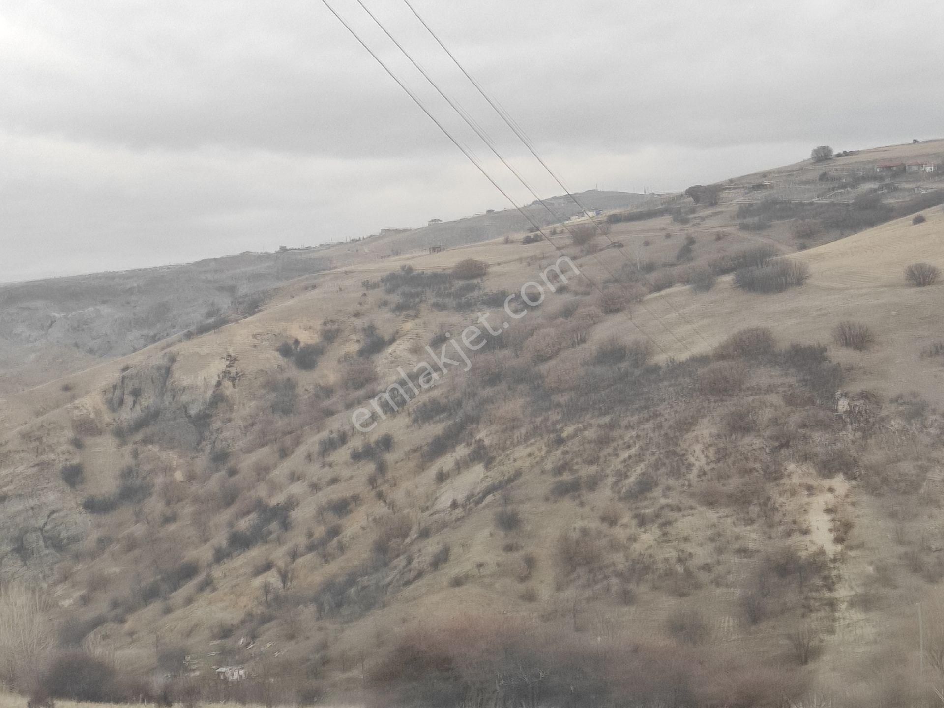 Karapürçekte 2220 M2 Kök Tapulu Arsa Hilal Emlaktan - Görsel 9