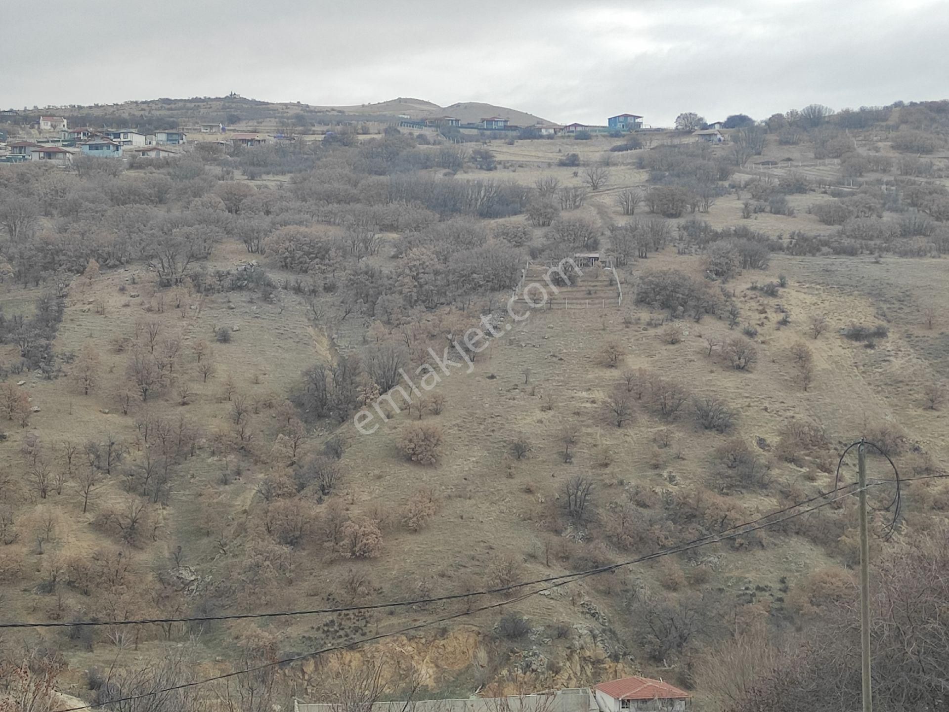 Karapürçekte 2220 M2 Kök Tapulu Arsa Hilal Emlaktan - Görsel 4