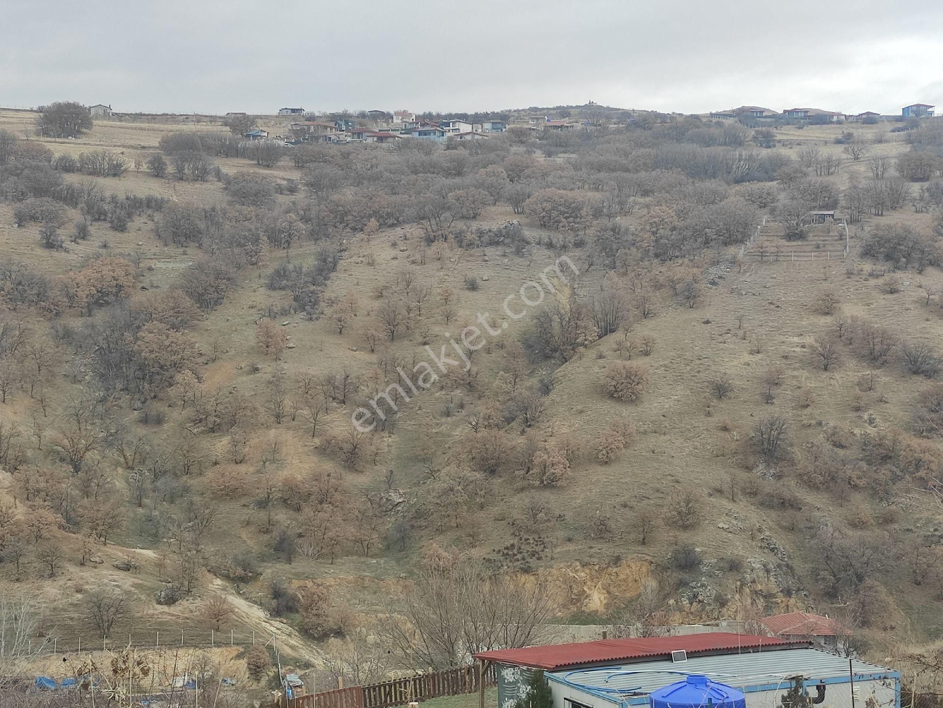 Karapürçekte 2220 M2 Kök Tapulu Arsa Hilal Emlaktan