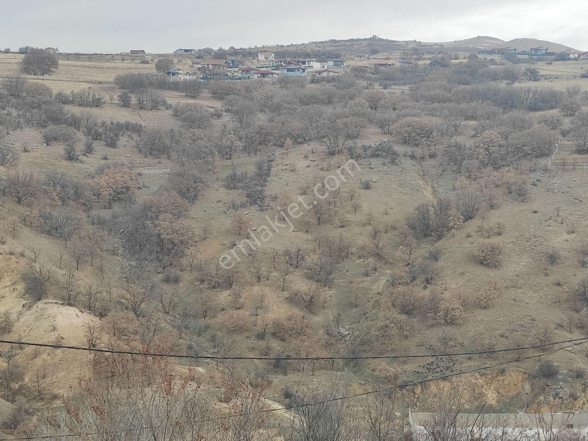 Karapürçekte 2220 M2 Kök Tapulu Arsa Hilal Emlaktan - Görsel 3