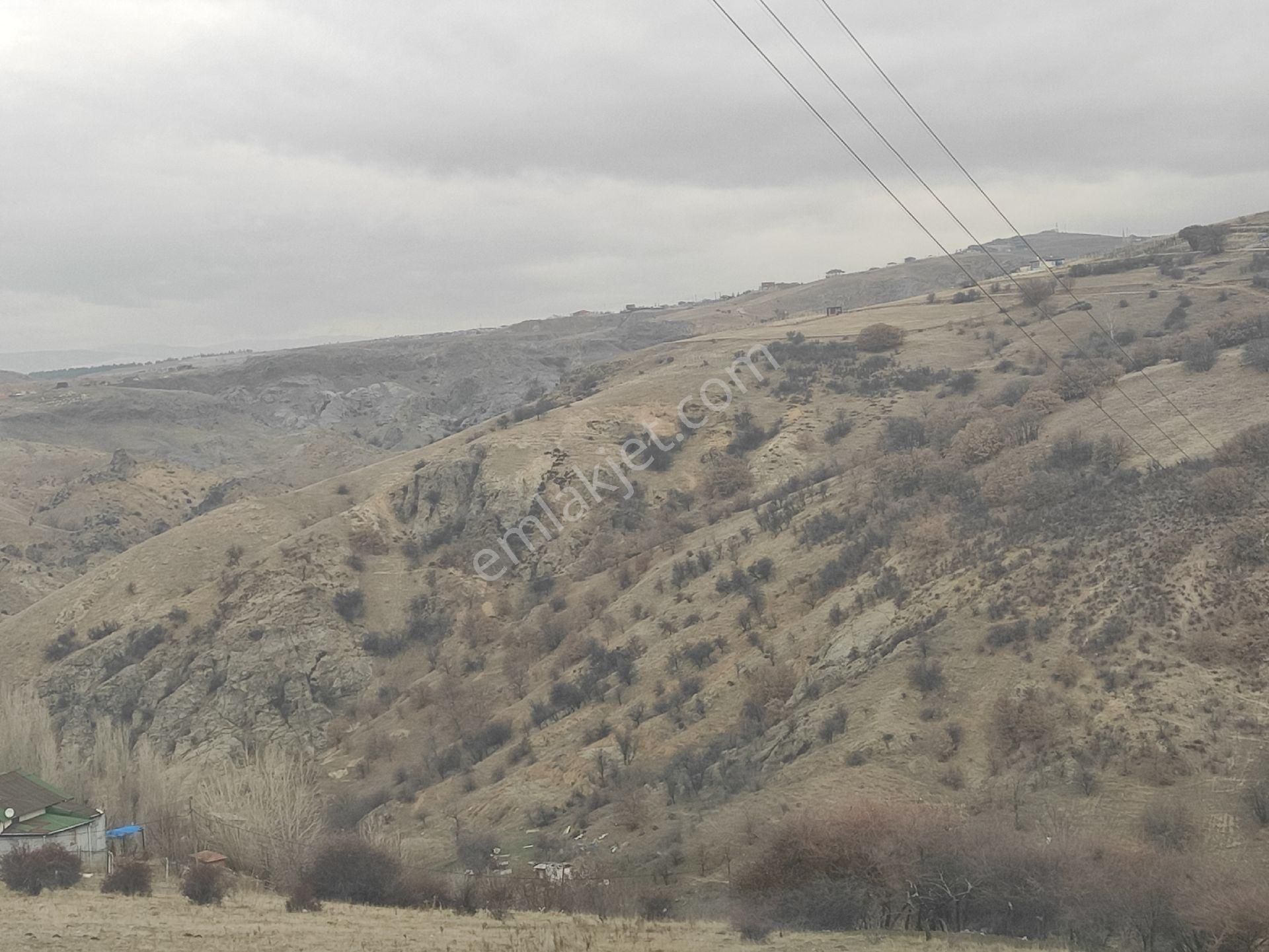 Karapürçekte 2220 M2 Kök Tapulu Arsa Hilal Emlaktan - Görsel 8