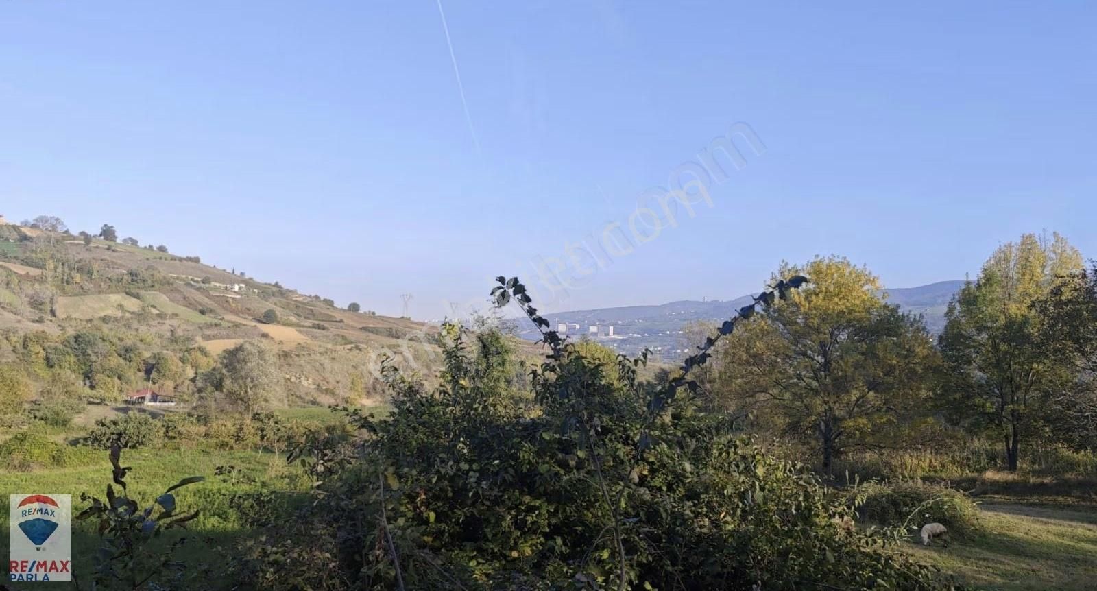 Samsun Un Gelişmekte Olan Muhitinde Yatırımlık Fındık Bahçesi - Görsel 3