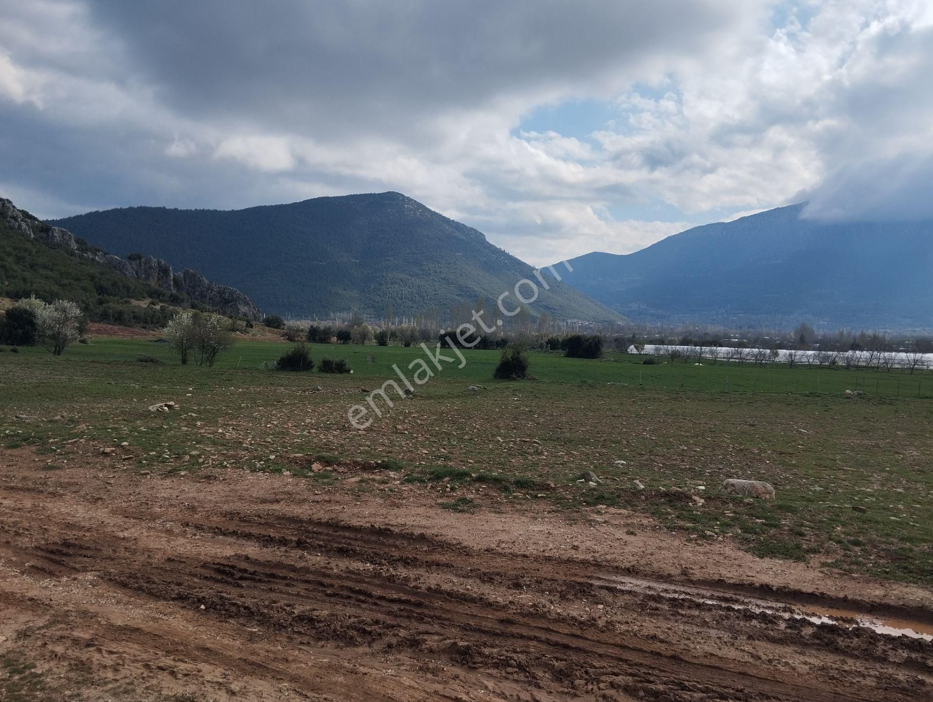 Manzaralı Su Elektrik Sorunu Yok Bağsaray Köyünde - Görsel 25